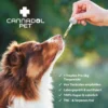 Cannadol Pet 10% Premium CBD Öl für Hunde - (10 ml) – Bild 4